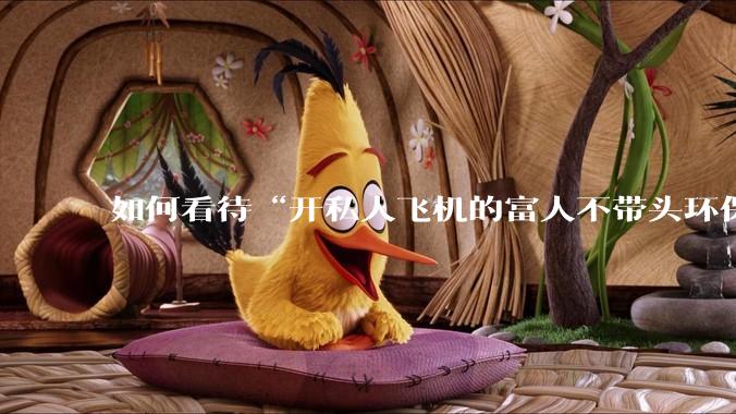 如何看待“开私人飞机的富人不带头环保，我一普通人为啥要环保”的观念？
