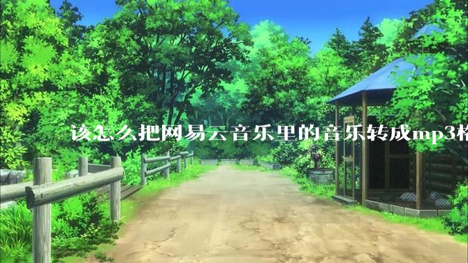 该怎么把网易云音乐里的音乐转成mp3格式导出软件？