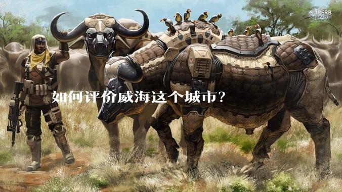 如何评价威海这个城市？